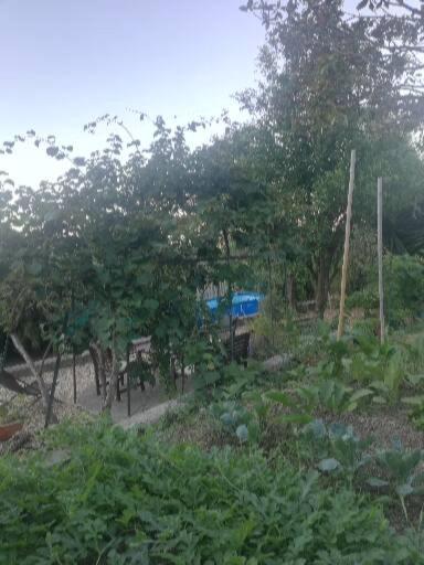 Ca' Clementine Otel Sasso di Bordighera Dış mekan fotoğraf